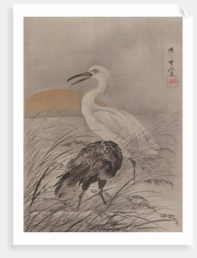 Cranes in Marsh, ca. 1887 by Kawanabe Kyosai