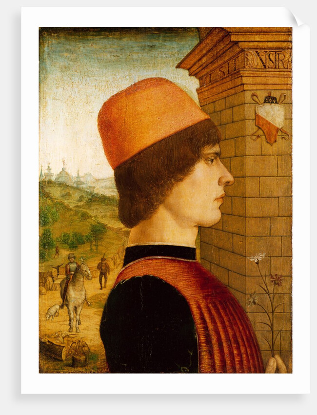 Portrait of a Man, possibly Matteo di Sebastiano di Bernardino Gozzadini, 1494 by Maestro delle Storie del Pane
