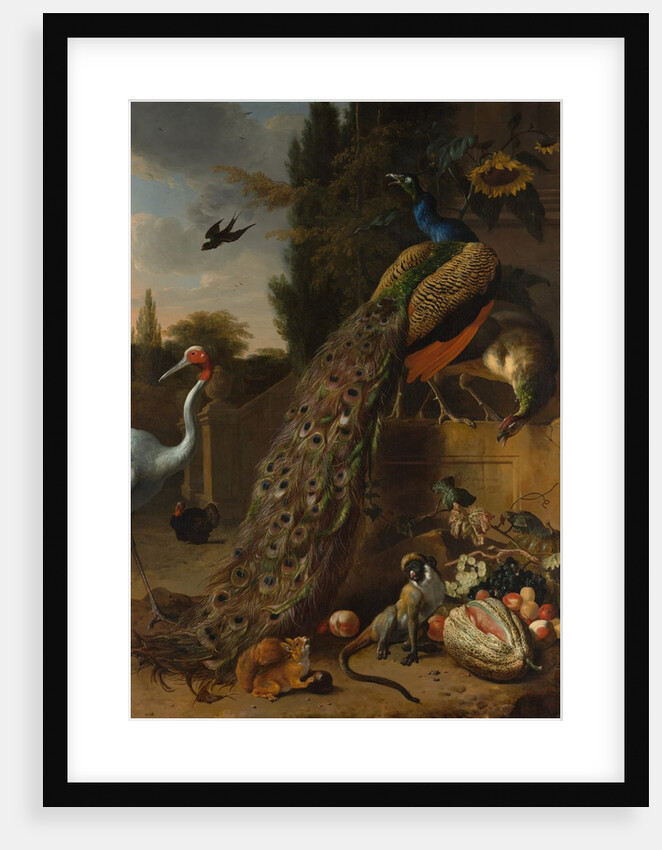 Peacocks, 1683 by Melchior d'Hondecoeter