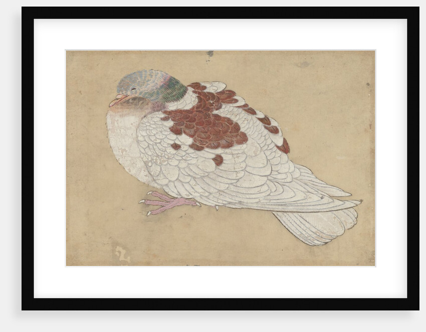 Bird, 18th century by Unknown