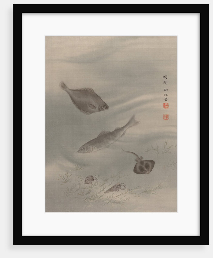 Fishes, ca. 1890-92 by Seki Shuko