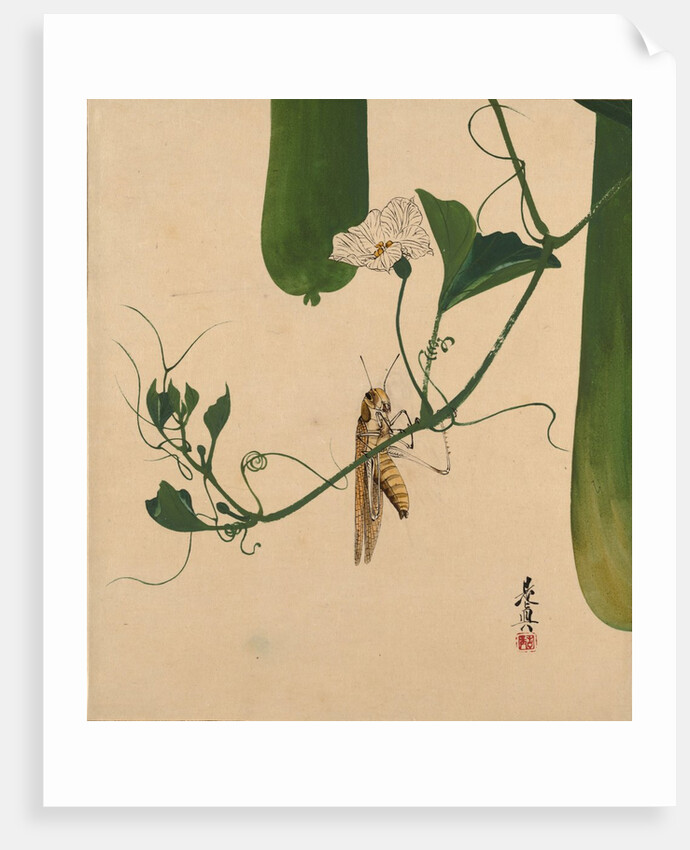 Lacquer Paintings of Various Subjects: Grasshopper on Gourd Vine, 1882 by Shibata Zeshin