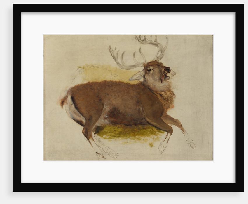 Dying Stag, ca. 1830 by Edwin Henry Landseer