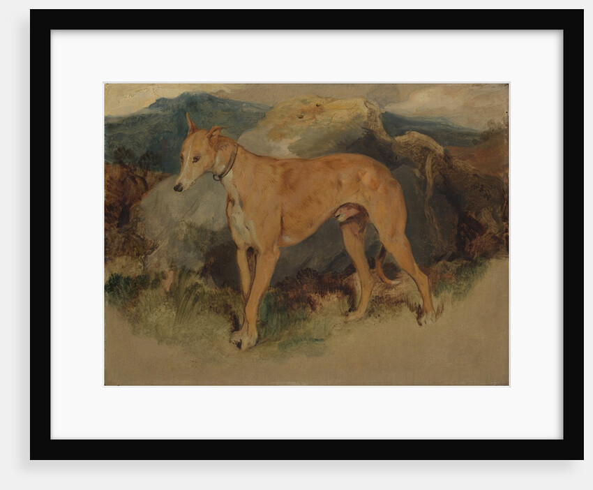 A Deerhound, 1826 by Edwin Henry Landseer