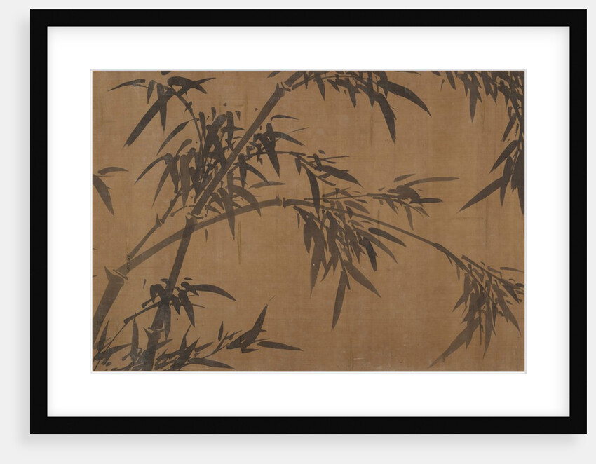 Bamboos by Unknown