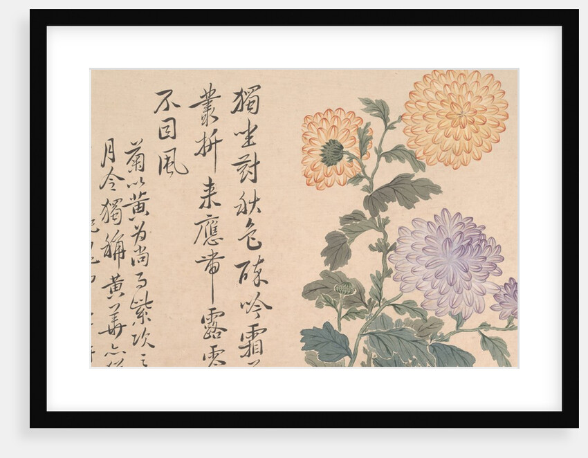 Chrysanthemums by Unknown