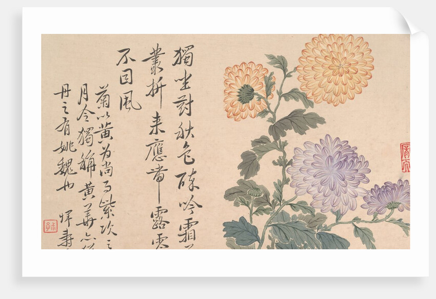 Chrysanthemums by Unknown