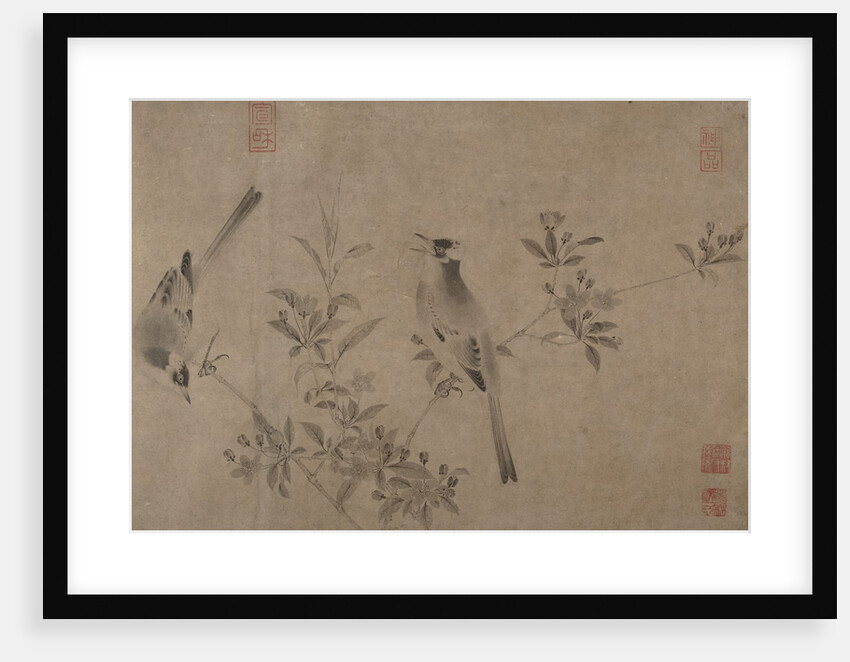 Chinese Bulbuls on Flowering Cherry-Apple by Unknown