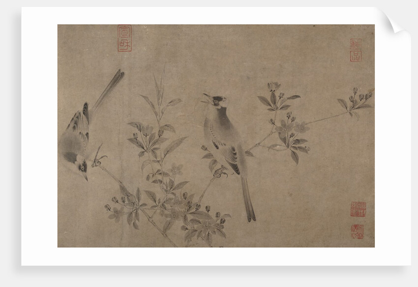 Chinese Bulbuls on Flowering Cherry-Apple by Unknown