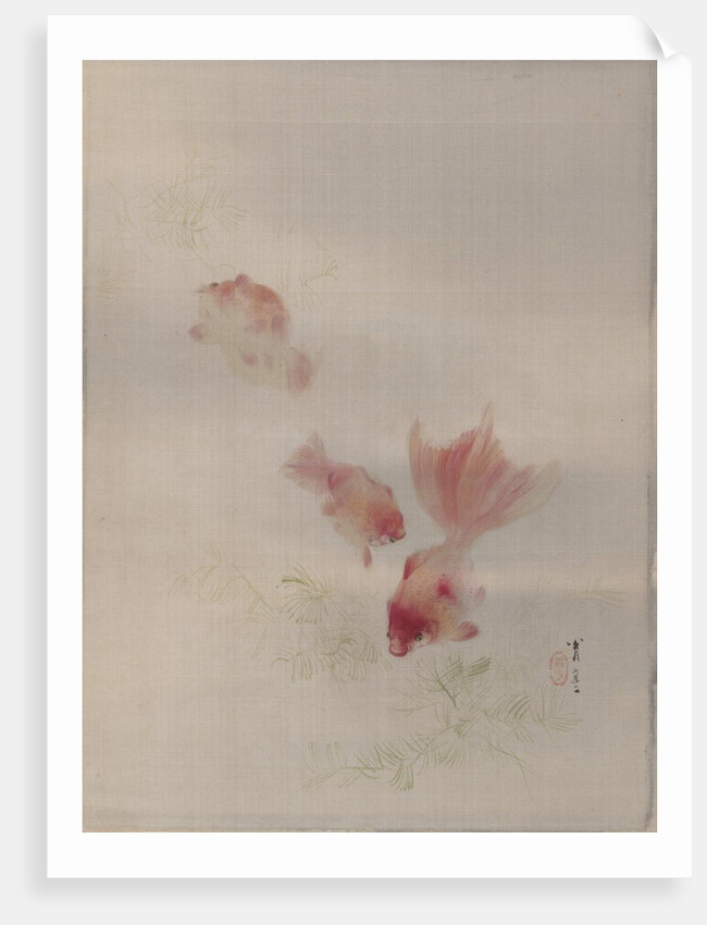 Goldfish, ca. 1887 by Watanabe Seitei