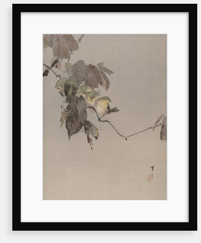 Birds on a Branch, ca. 1887 by Watanabe Seitei