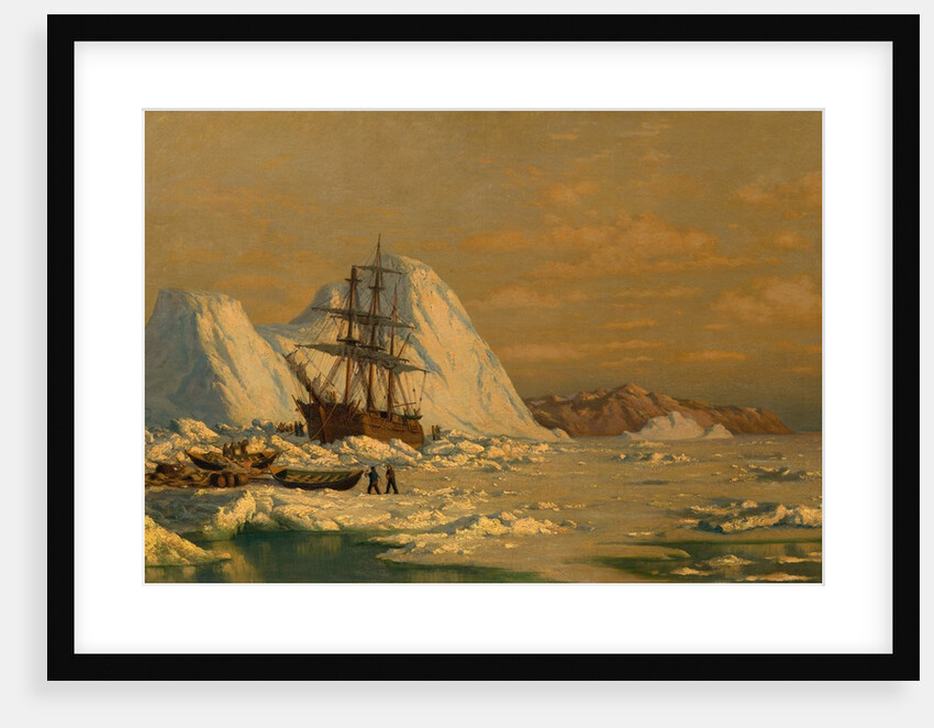 An Incident of Whaling by William Bradford