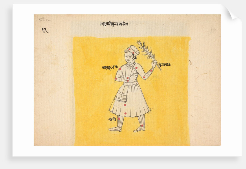 Double Sided Painting; Male with Flower/ Soldier, mid-late 19th century by Unknown