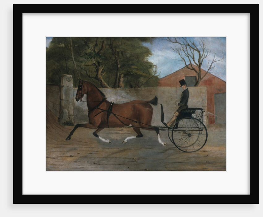 Portrait of a Gentleman in a Carriage, ca. 1850-60 by Unknown