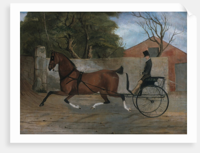 Portrait of a Gentleman in a Carriage, ca. 1850-60 by Unknown