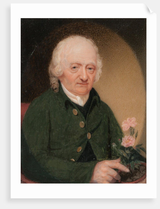 Portrait of a Gentleman, ca. 1810-15 by Unknown