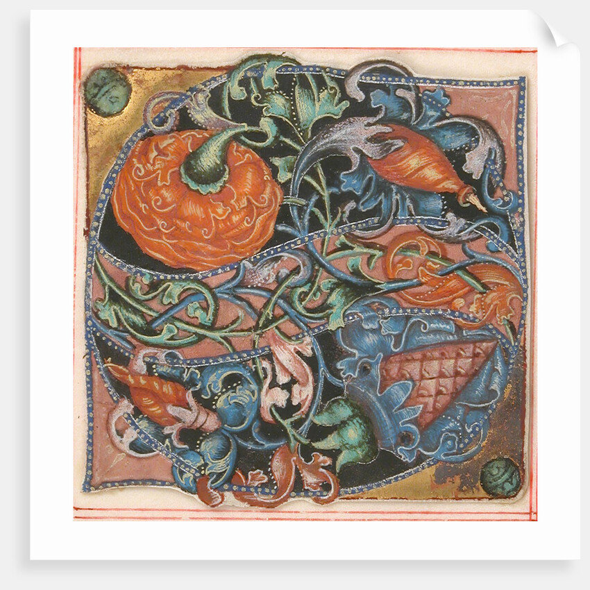 Manuscript Illumination with Initial S, from a Choir Book, 16th century by Unknown