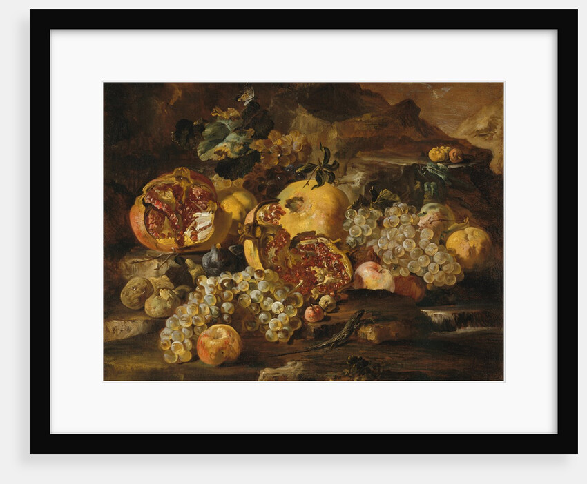 Pomegranates and Other Fruit in a Landscape by Abraham Brueghel