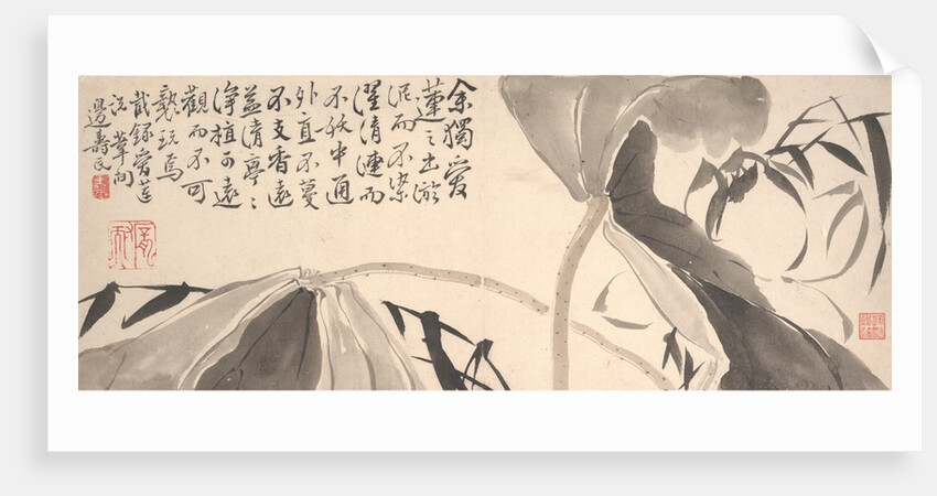 Lotus Leaves and Water Reeds by Bian Shoumin