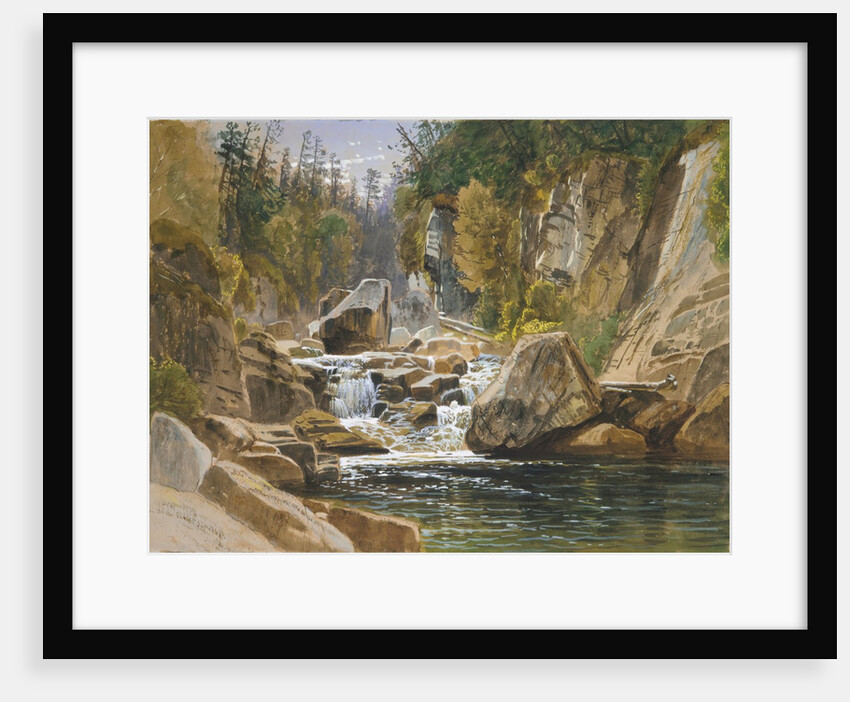 On the Ausable, 1869 by James David Smillie