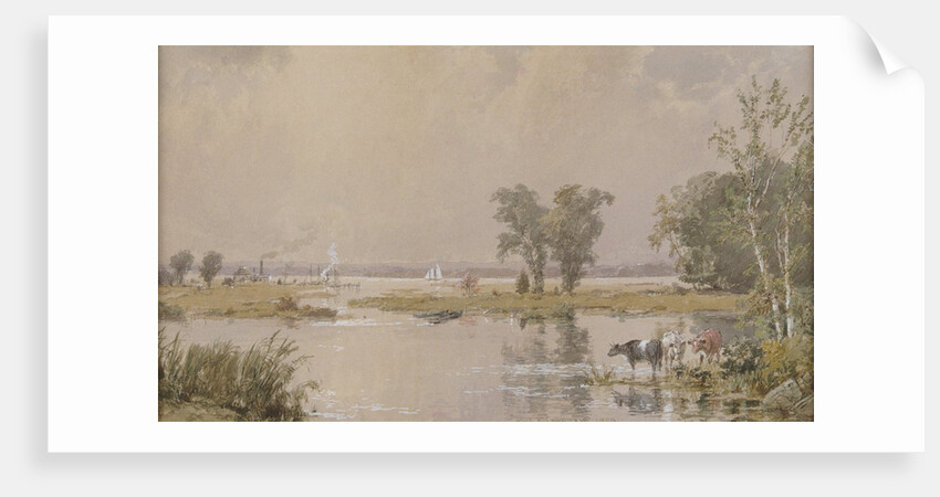 Hackensack Meadows, 1890 by Jasper Francis Cropsey