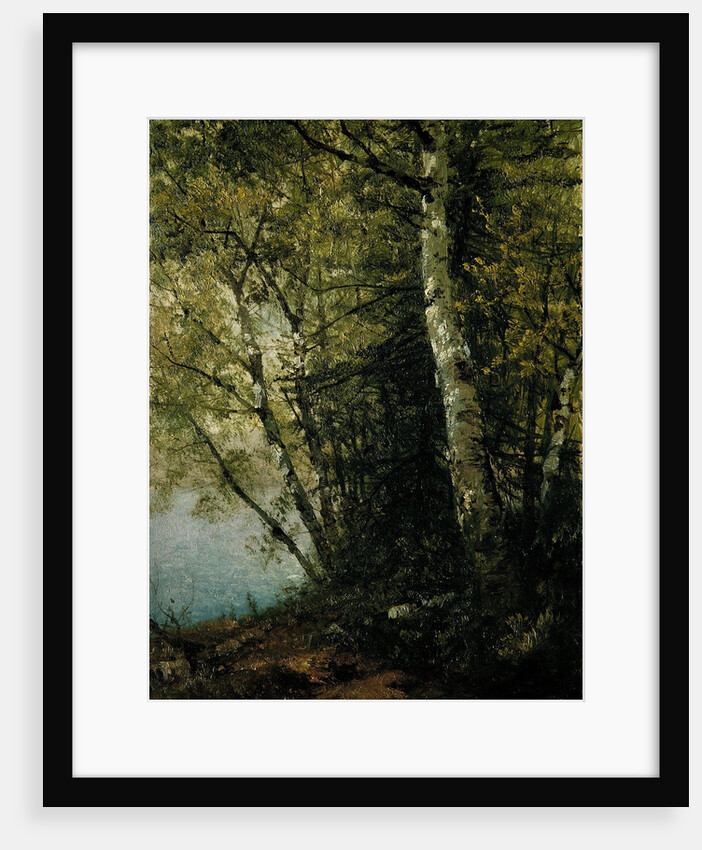 Study of Beeches, 1872 by John Frederick Kensett