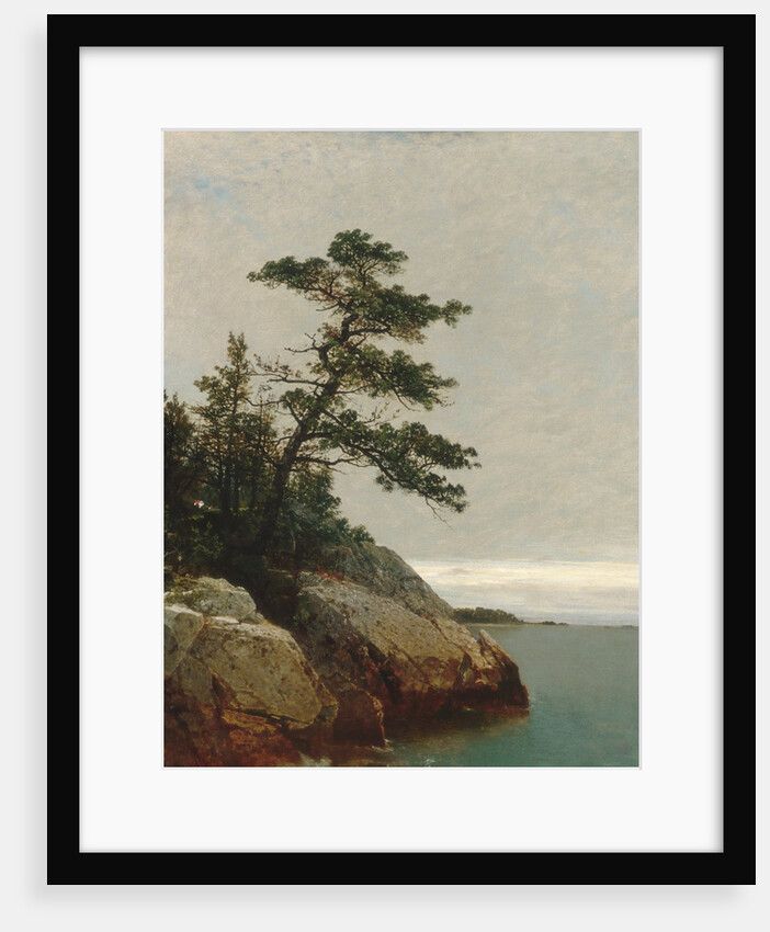 The Old Pine, Darien, Connecticut, 1872 by John Frederick Kensett