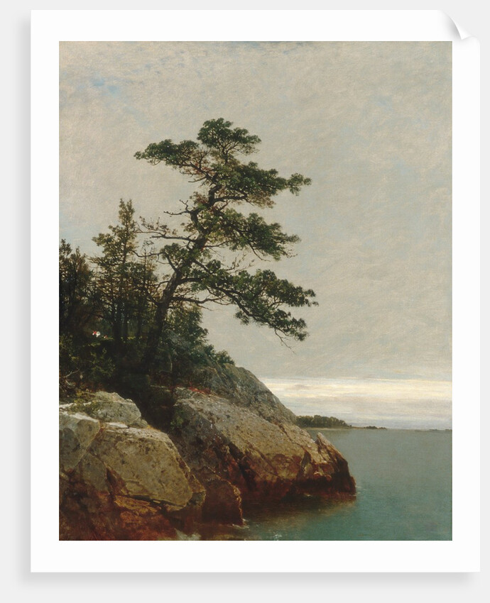 The Old Pine, Darien, Connecticut, 1872 by John Frederick Kensett