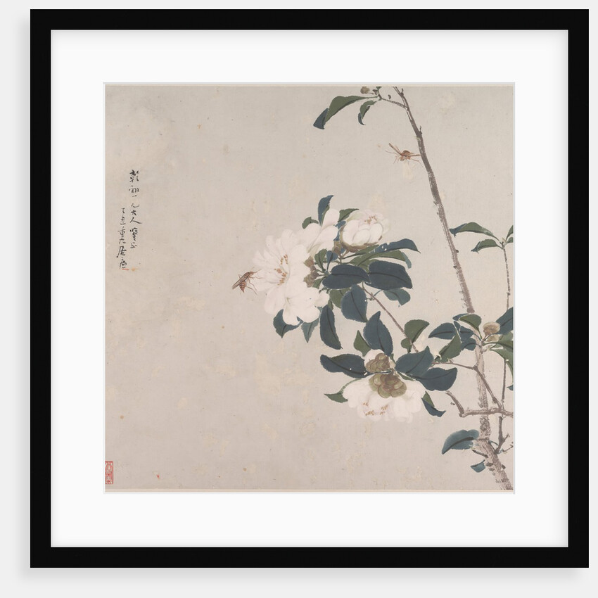 Insects and Flowers by Ju Lian