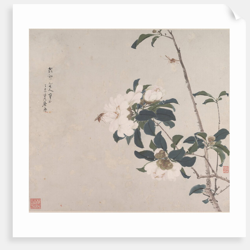 Insects and Flowers by Ju Lian