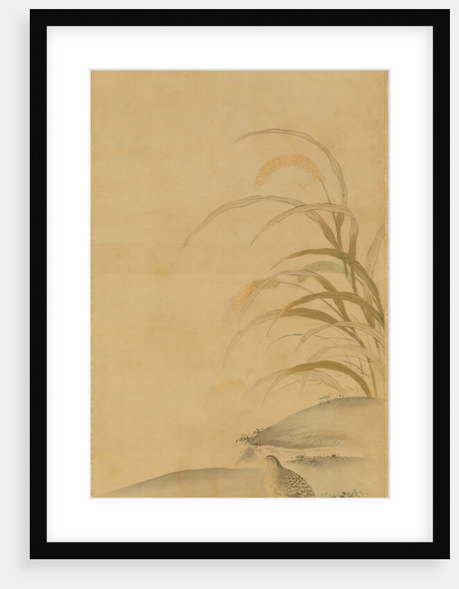 Quail and Millet, late 17th century by Kiyohara Yukinobu