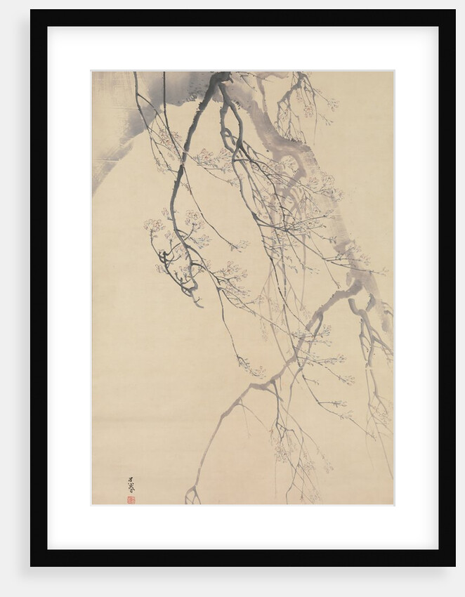Cherry Blossoms, 18th century by Go Shun