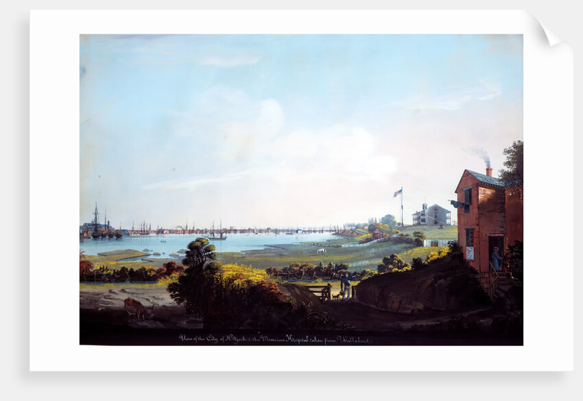 View of the City of New York and the Marine Hospital Taken from Wallabout by Nicolino Calyo
