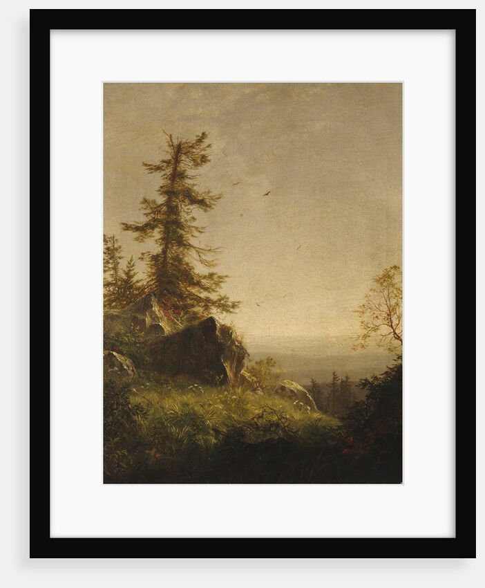 Morning on the Mountain, 1856 by Richard William Hubbard