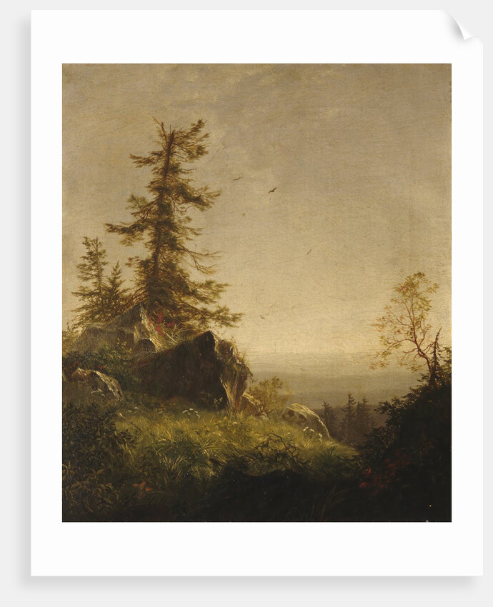 Morning on the Mountain, 1856 by Richard William Hubbard