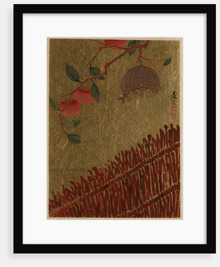 Persimmons Branch and Wasp Nest above a Hedge by Shibata Zeshin