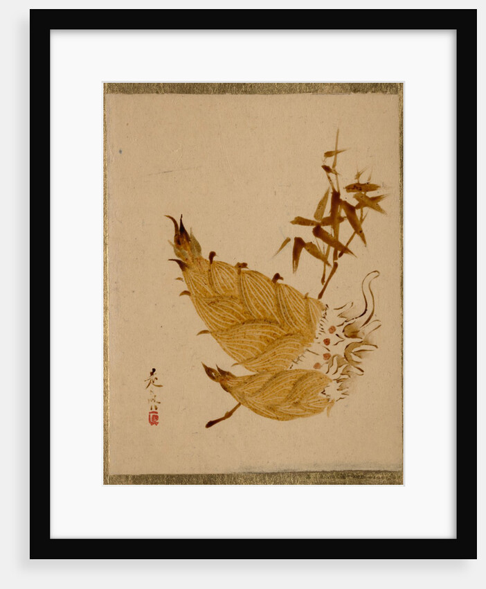 Bamboo Shoots, ca. 1880s by Shibata Zeshin