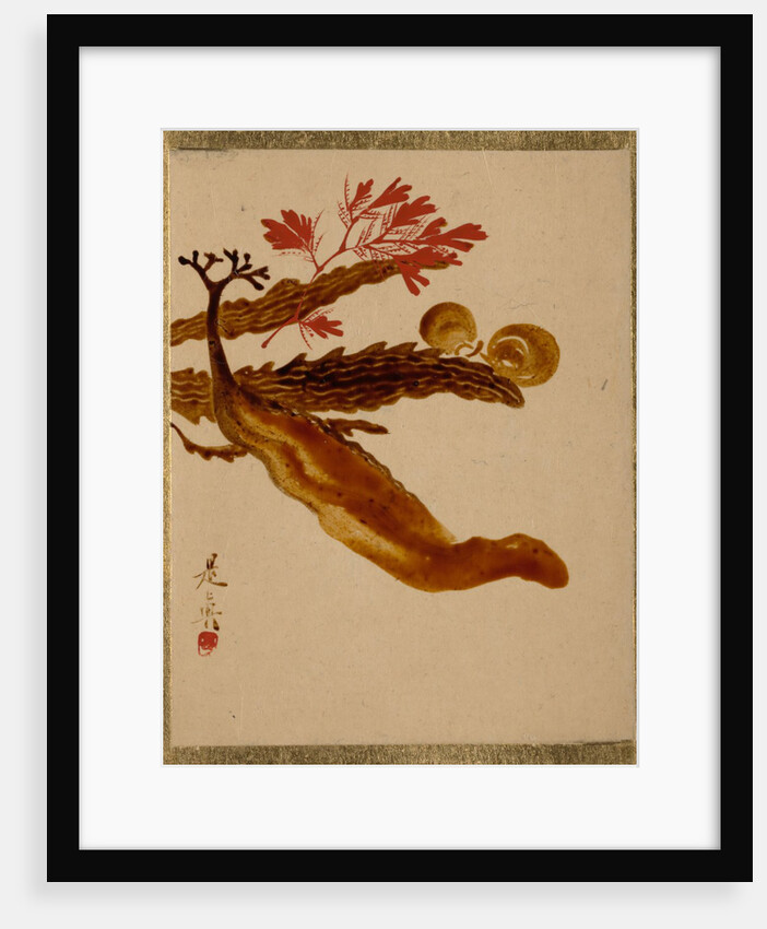 Seaweed by Shibata Zeshin