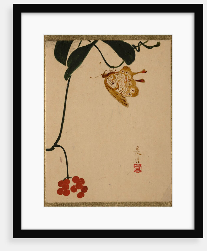 Red Berry Plant and Butterfly by Shibata Zeshin