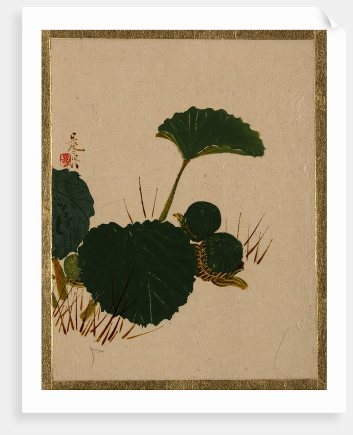 Worm on Green Leaved Plant by Shibata Zeshin