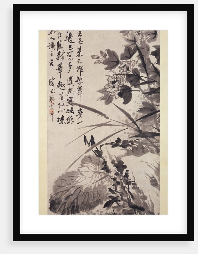 Hibiscus, Lotus, and Rock, ca. 1705-7 by Shitao