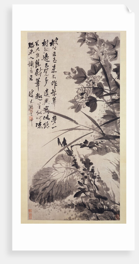 Hibiscus, Lotus, and Rock, ca. 1705-7 by Shitao