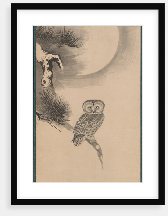 Owl on a Pine Branch, early 17th century by Soga Nichokuan