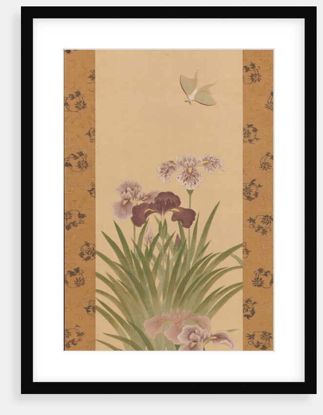 Irises and Moth, ca. 1850 by Suzuki Kiitsu