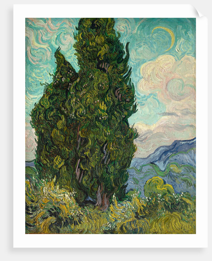 Cypresses, 1889 by Vincent van Gogh