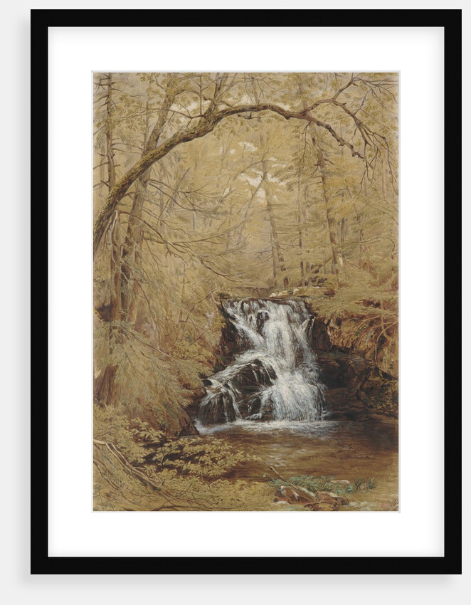 Indian Falls, Indian Brook, Cold Springs, New York, 1850 by William Rickarby Miller