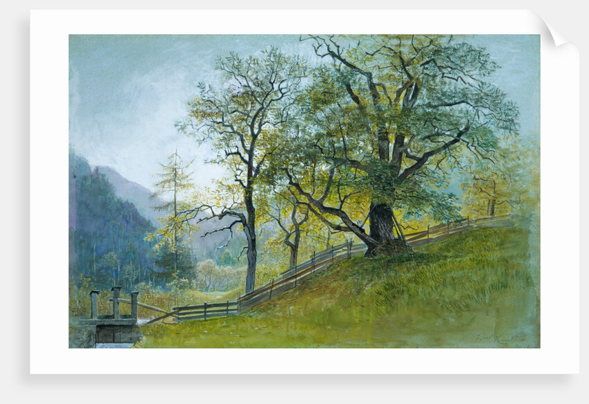 Vahrn in Tyrol near Brixen by William Stanley Haseltine