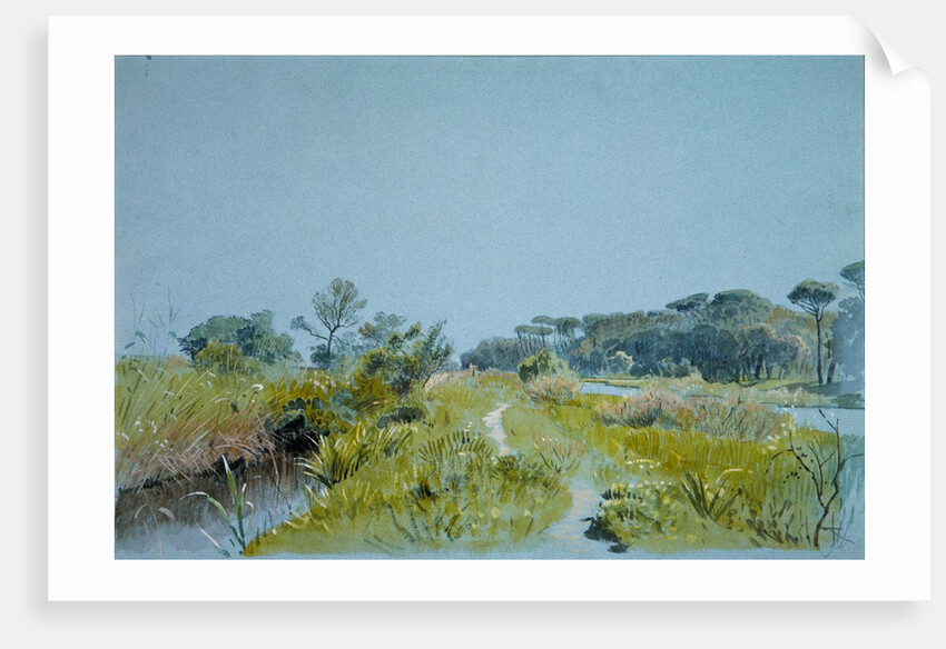 Castel Fusano?Near Rome, ca. 1885 by William Stanley Haseltine