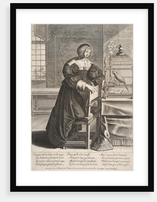 The Parrot, 1620-76 by Abraham Bosse