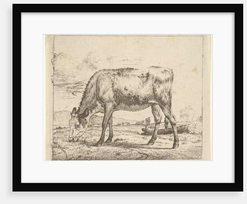 Grazing Calf, from Different Animals, 1658 by Adriaen van de Velde